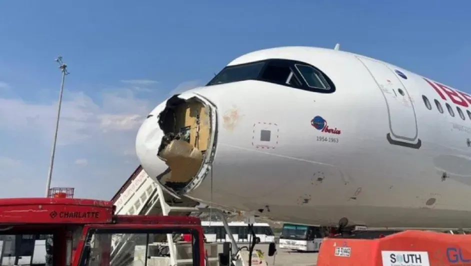 Vuelo Madrid–París aterriza de emergencia por impacto con buitre Post feature image