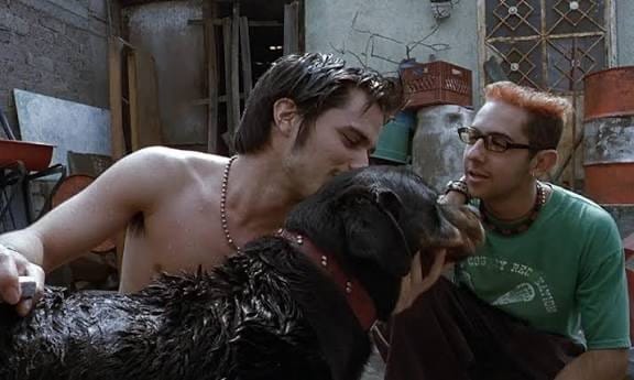 “Amores Perros” regresa a los cines para celebrar su 25 aniversario Post feature image